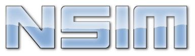 Nsim3D